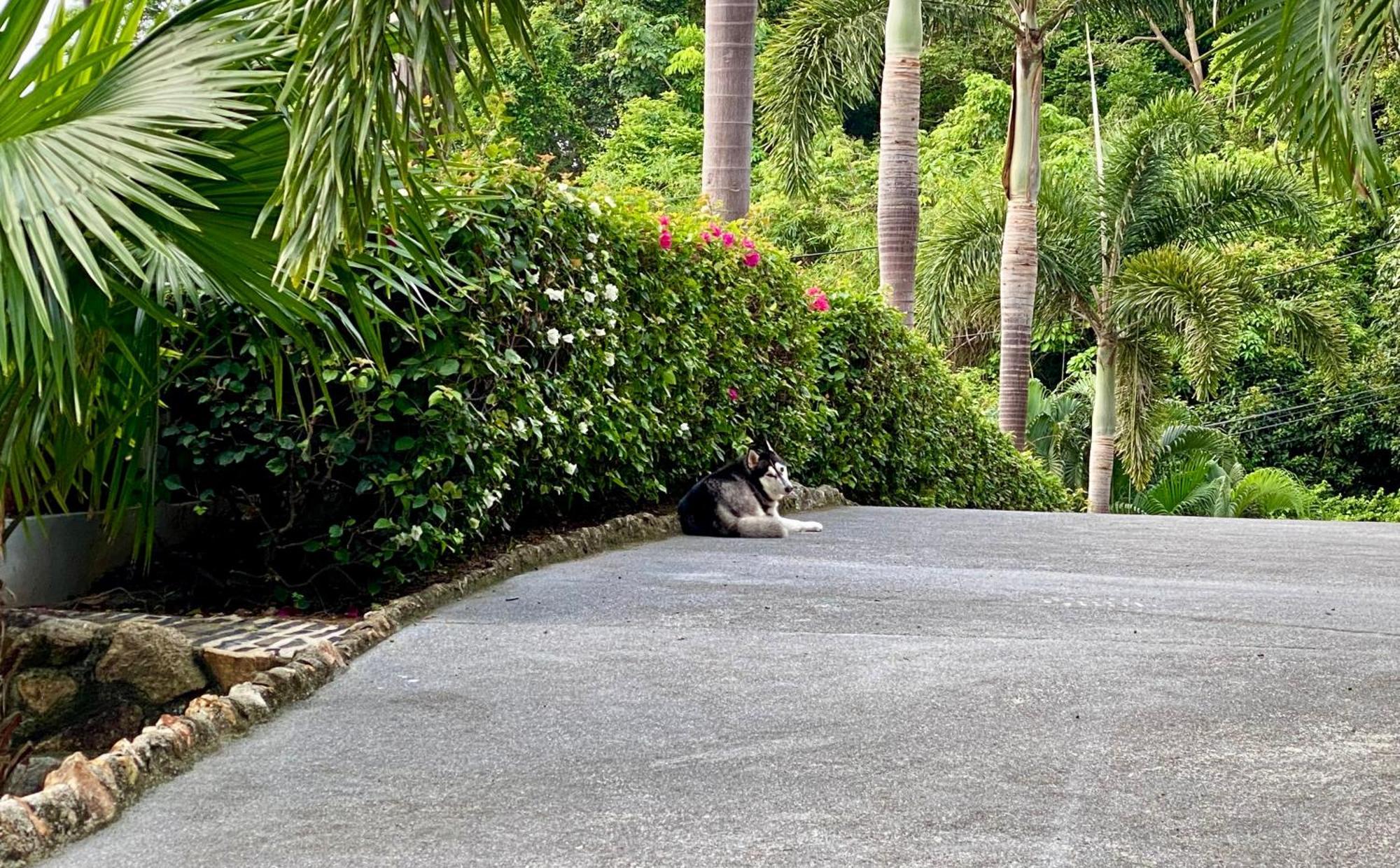 Ko Samui Seaview Pool Villa Seren With Car Laem Set Beach Exterior foto